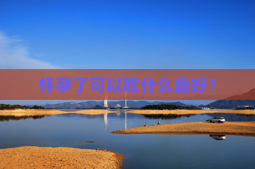 怀孕了可以吃什么鱼好？