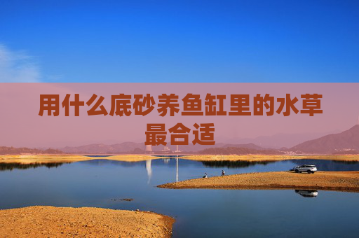 用什么底砂养鱼缸里的水草最合适