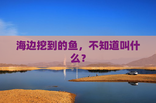 海边挖到的鱼，不知道叫什么？