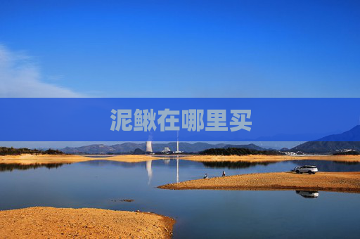泥鳅在哪里买