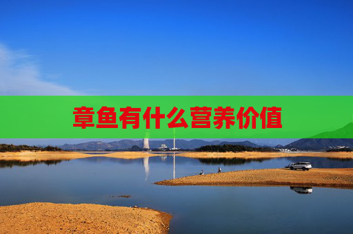 章鱼有什么营养价值