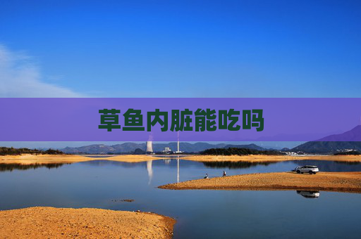 草鱼内脏能吃吗
