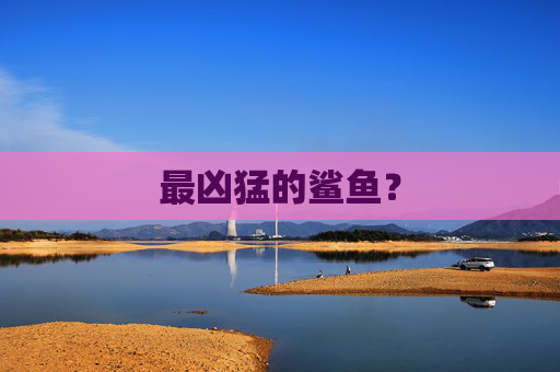 最凶猛的鲨鱼？