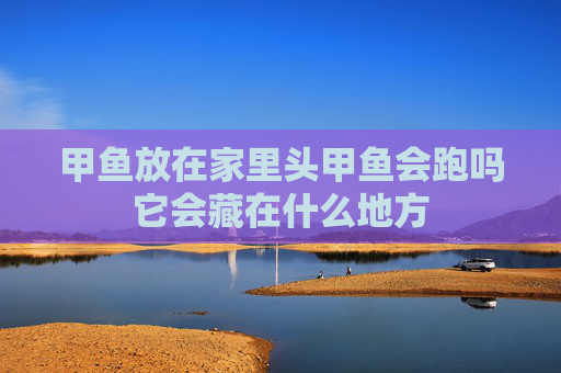 甲鱼放在家里头甲鱼会跑吗它会藏在什么地方