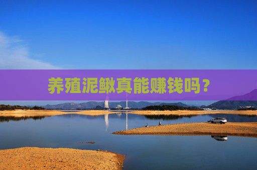 养殖泥鳅真能赚钱吗？