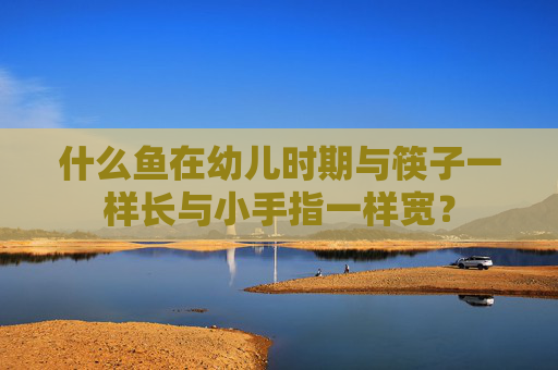 什么鱼在幼儿时期与筷子一样长与小手指一样宽？