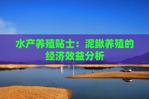 水产养殖贴士：泥鳅养殖的经济效益分析