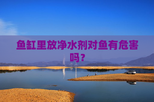 鱼缸里放净水剂对鱼有危害吗？