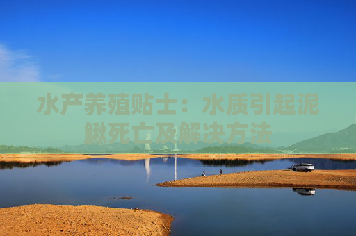 水产养殖贴士：水质引起泥鳅死亡及解决方法