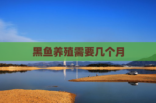 黑鱼养殖需要几个月