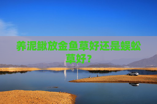 养泥鳅放金鱼草好还是蜈蚣草好？