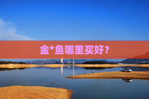 金*鱼哪里买好？