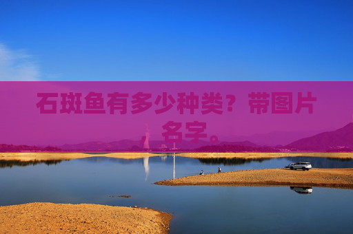 石斑鱼有多少种类？带图片，名字。
