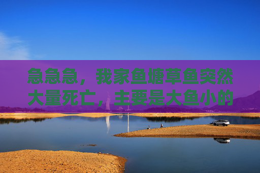 急急急，我家鱼塘草鱼突然大量死亡，主要是大鱼小的没怎么死。破开刚死的鱼肚子内脏都腐烂了，是什么原因