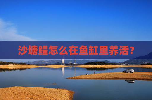 沙塘鳢怎么在鱼缸里养活？