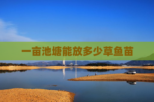 一亩池塘能放多少草鱼苗