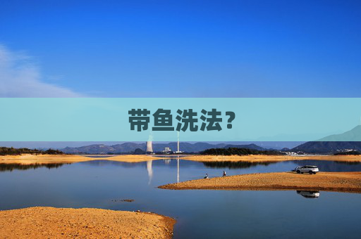 带鱼洗法？