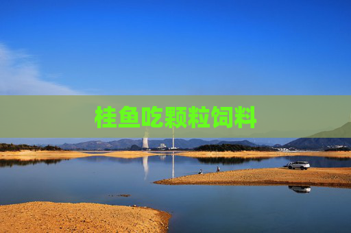 桂鱼吃颗粒饲料