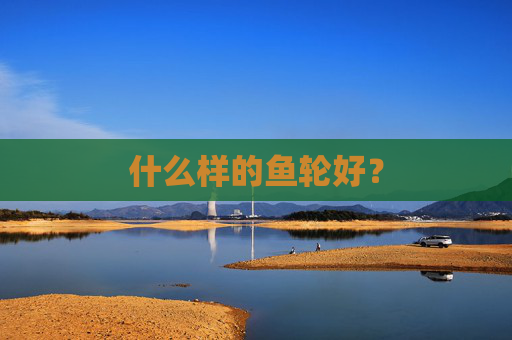 什么样的鱼轮好？
