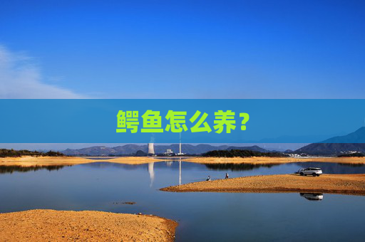 鳄鱼怎么养？