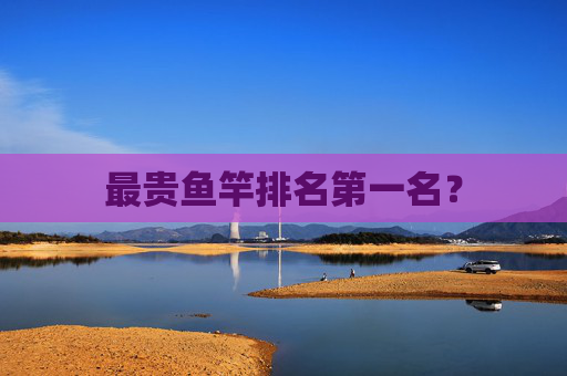 最贵鱼竿排名第一名？