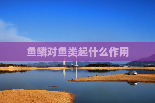 鱼鳞对鱼类起什么作用
