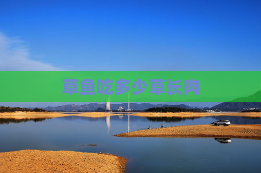 草鱼吃多少草长肉