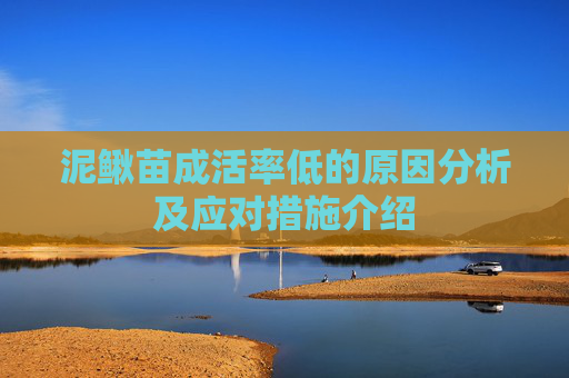 泥鳅苗成活率低的原因分析及应对措施介绍