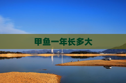 甲鱼一年长多大