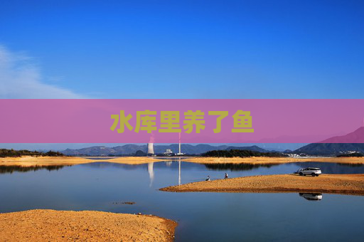 水库里养了鱼