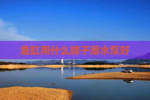 鱼缸用什么牌子潜水泵好