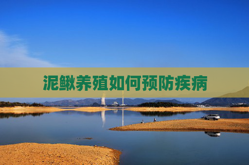 泥鳅养殖如何预防疾病 泥鳅养殖如何预防疾病