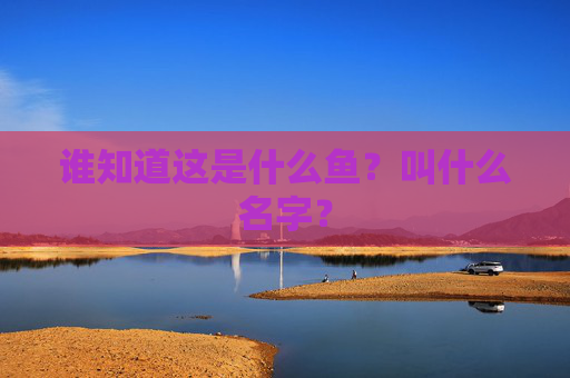 谁知道这是什么鱼？叫什么名字？