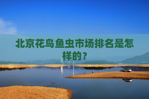 北京花鸟鱼虫市场排名是怎样的? 北京花鸟鱼虫市场排名是怎样的?