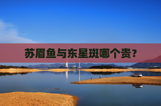 苏眉鱼与东星斑哪个贵？