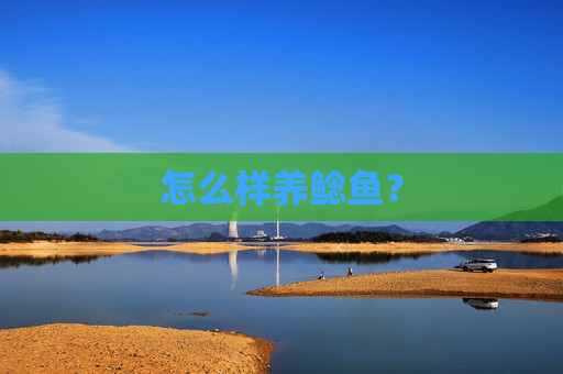 怎么样养鲶鱼？