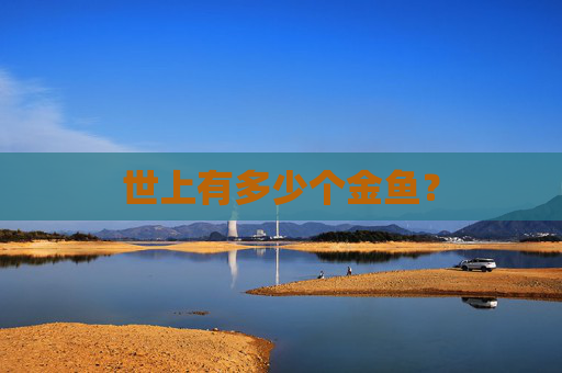 世上有多少个金鱼？