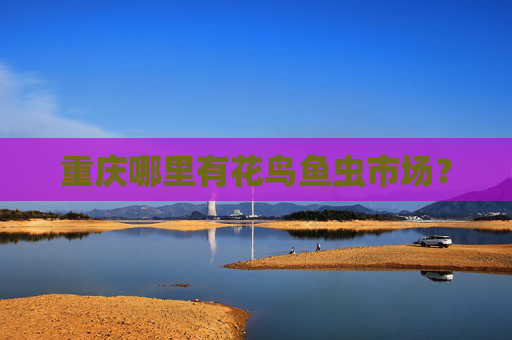 重庆哪里有花鸟鱼虫市场？