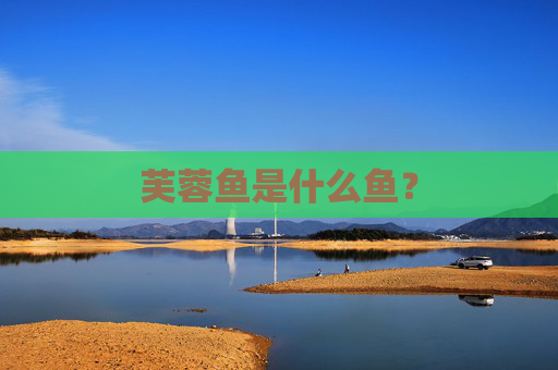 芙蓉鱼是什么鱼？