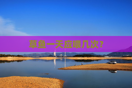 草鱼一天应喂几次？
