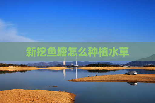 新挖鱼塘怎么种植水草 新挖鱼塘怎么种植水草