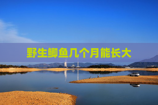 野生鲫鱼几个月能长大