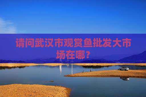 请问武汉市观赏鱼批发大市场在哪？