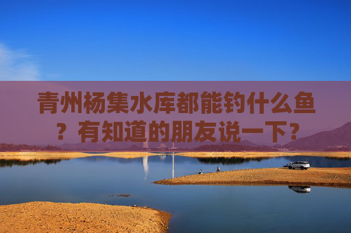 青州杨集水库都能钓什么鱼？有知道的朋友说一下？