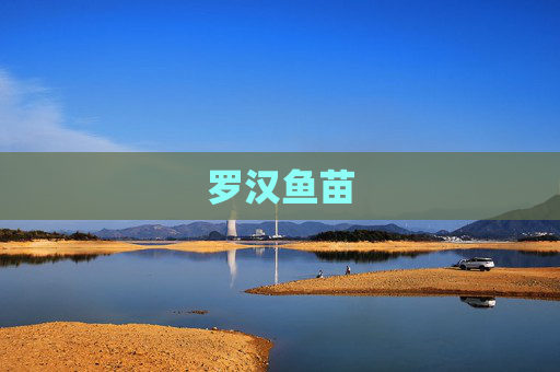 罗汉鱼苗 罗汉鱼苗