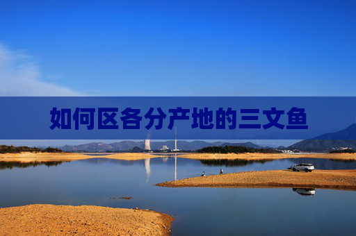 如何区各分产地的三文鱼