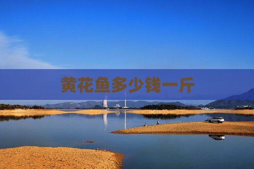黄花鱼多少钱一斤 黄花鱼多少钱一斤