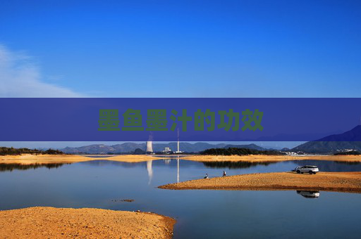 墨鱼墨汁的功效