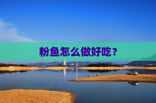 粉鱼怎么做好吃？