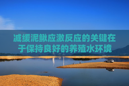 减缓泥鳅应激反应的关键在于保持良好的养殖水环境